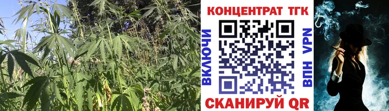 Купить где  Верхняя Пышма  ТГК жижа 