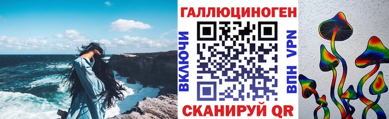 Купить закладки  Верхняя Пышма  Псилоцибиновые грибы Psilocybe 